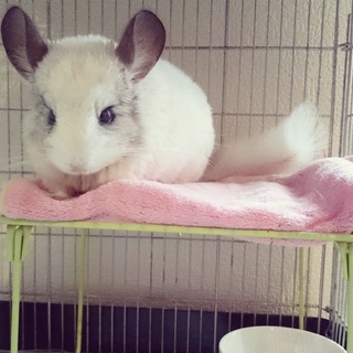 一旦打ち切ります。