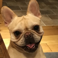 きなこ