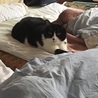 モビナナ