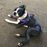 ナツ