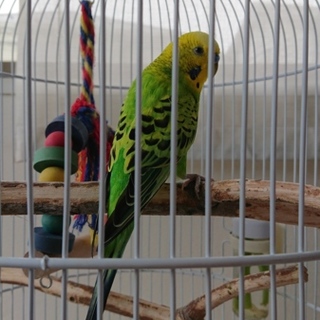 たくさんのご応募誠にありがとうございました。