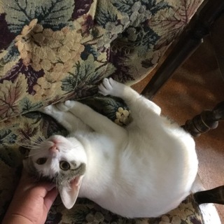 ありがとうございました