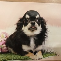 あずき