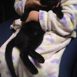 「ジジ君17日目」サムネイル3