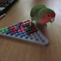 元気にしています(*^^*)