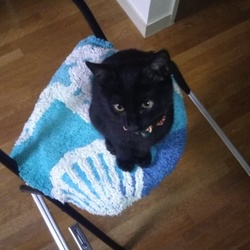 「番外編～ジジ～」サムネイル1