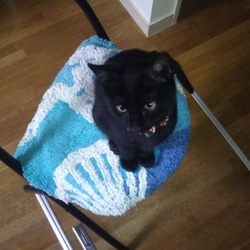 「番外編～ジジ～」サムネイル2