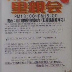 第102回☆猫の里親会