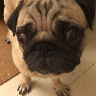 多数の応募を頂きました、ありがとうございます。