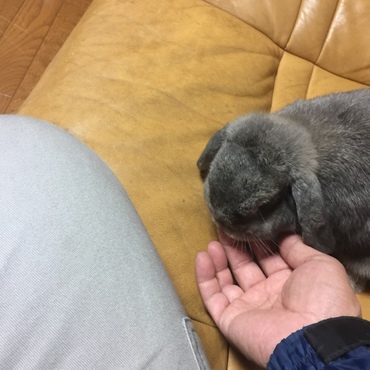 なでなでが、大好きなメアリーです。