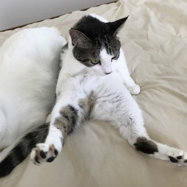 の写真
