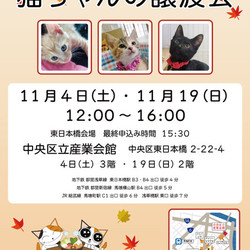 ねこざんまい譲渡会in東日本橋
