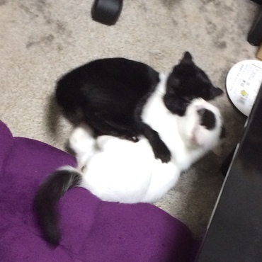 ぱっと見お姉ちゃんと変わらないぐらいに成長(生後3ヶ月頃)