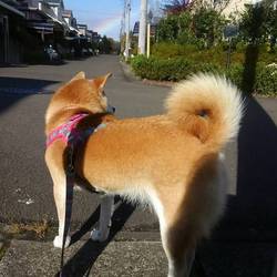 虹(o＾・＾o)(o⌒∇⌒o)