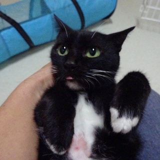 ちいちゃなおばあちゃん超癒し系です