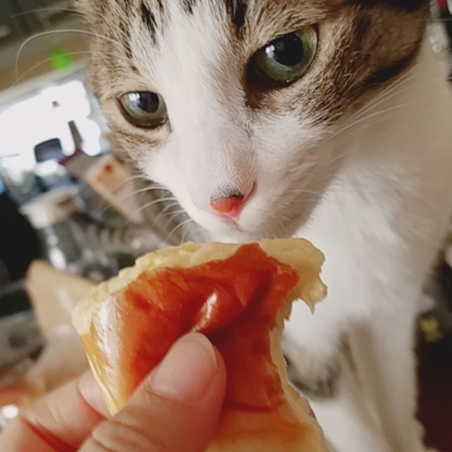 Kakaoのカバー写真