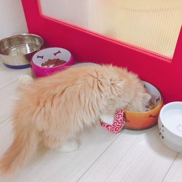 の写真