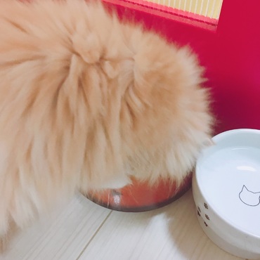 の写真