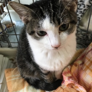 小柄で可愛いみーたんです