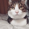 おはぎわら