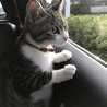 たぷち