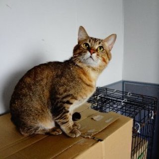 甘えっ子です^ ^