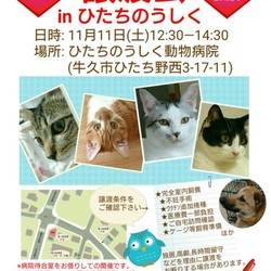 譲渡会inひたちのうしく