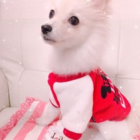 ルイくん