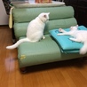の写真