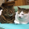 の写真