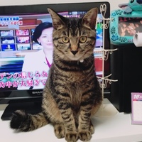 葛西リク