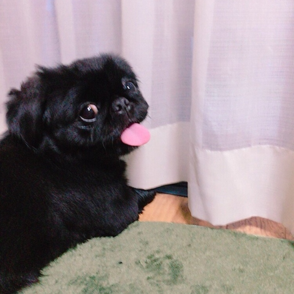 ゆうたろうのカバー写真