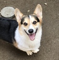 人懐っこい甘えん坊です