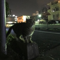 じゅん