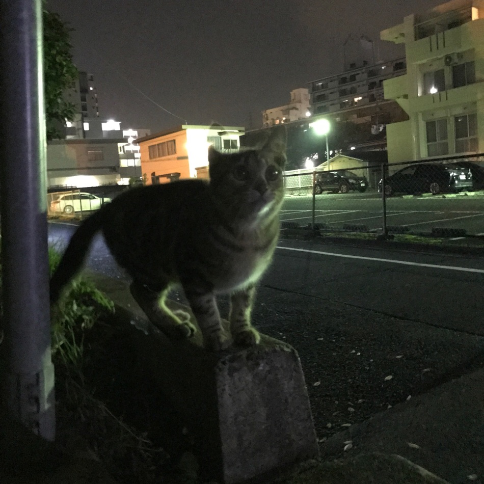 じゅんのカバー写真