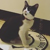  さん