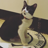 マサムネ