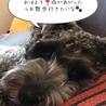 の写真