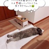 の写真