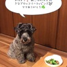 の写真