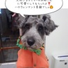 の写真