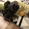 お気に入りのぬいぐるみ抱っこ❣️