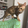 ぼく、カッコいい？？