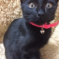 くぅ