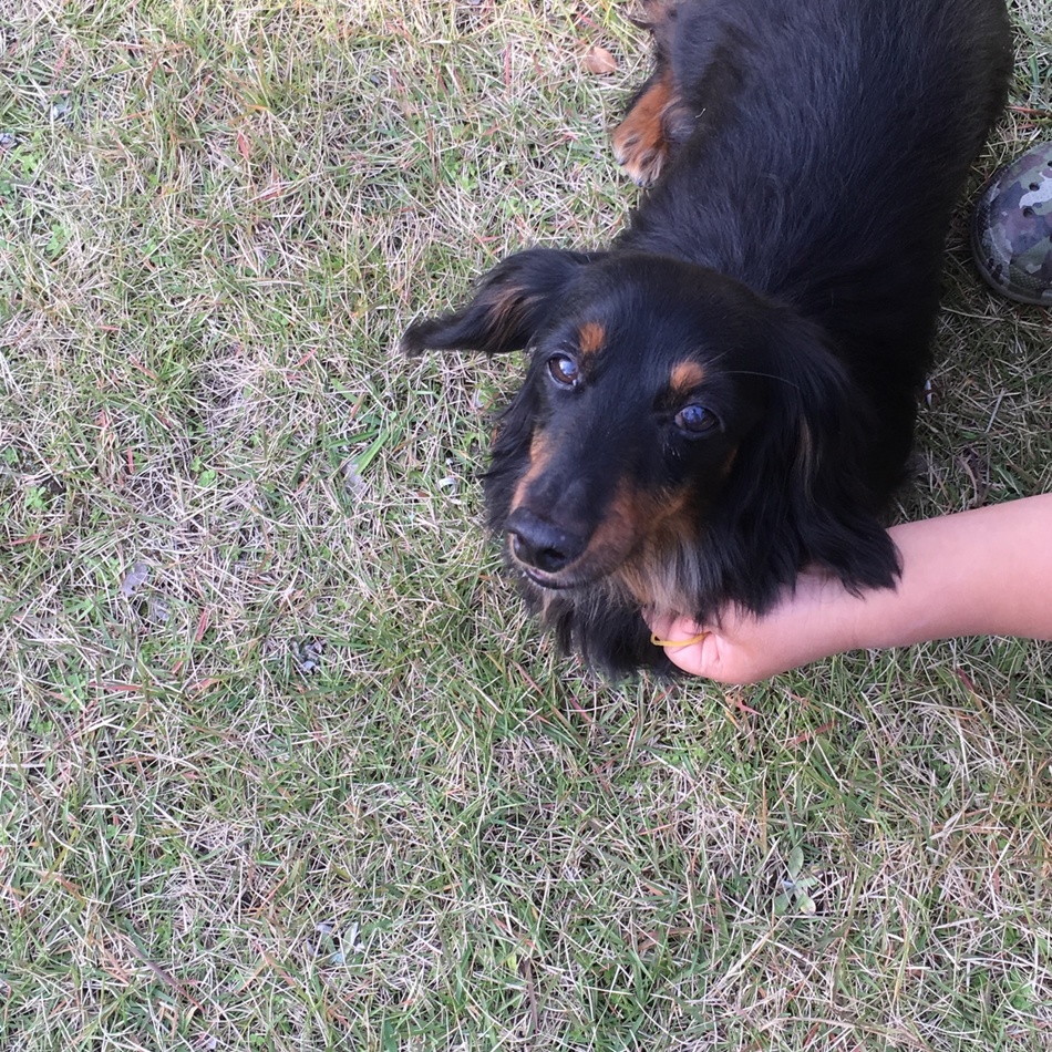 ことのカバー写真