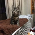 里親さん決まりました