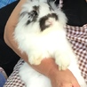 ふじさわみく さん
