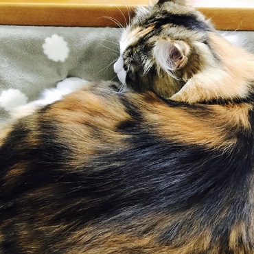 そろそろ、ママお出かけしたいのよ〜‼︎