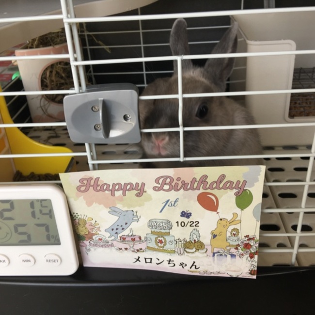 ＴAＯのカバー写真