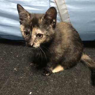 8月24日生まれの赤ちゃん